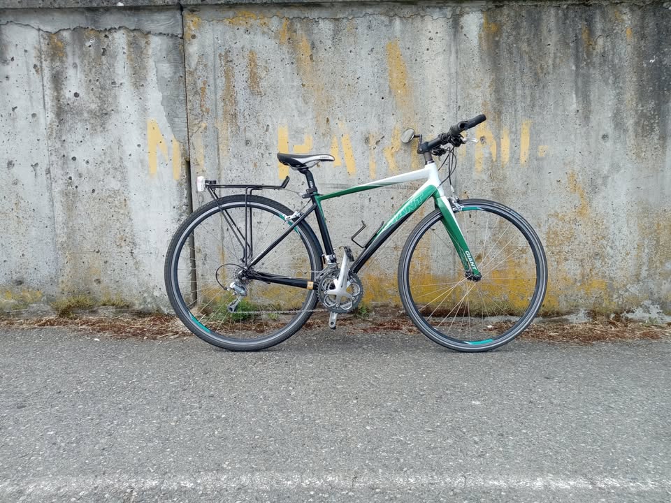 Giant Dash (Small size frame) Hub City Cycles Community Coop